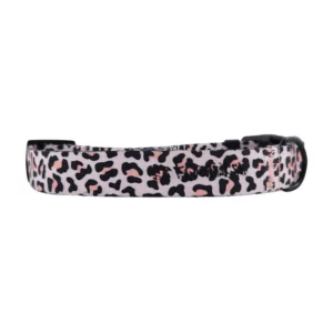 Wild Leopard - Dog Collar