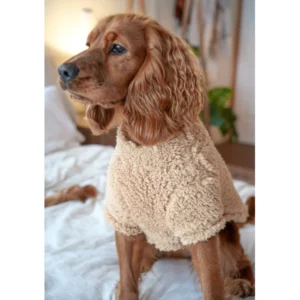 Teddy Fleece I love you a latte - Dog Jersey