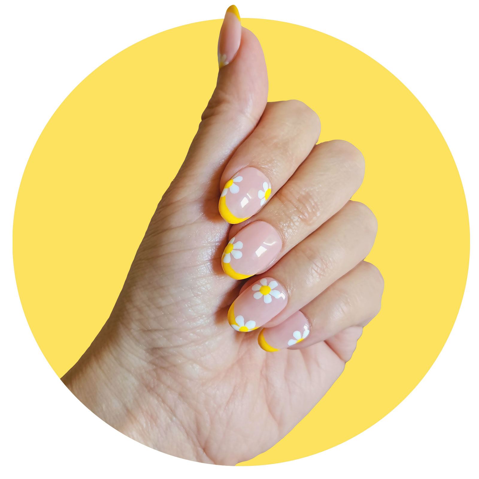 Spring Daisies - Oval